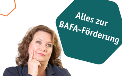 Alles zur BAFA-Förderung